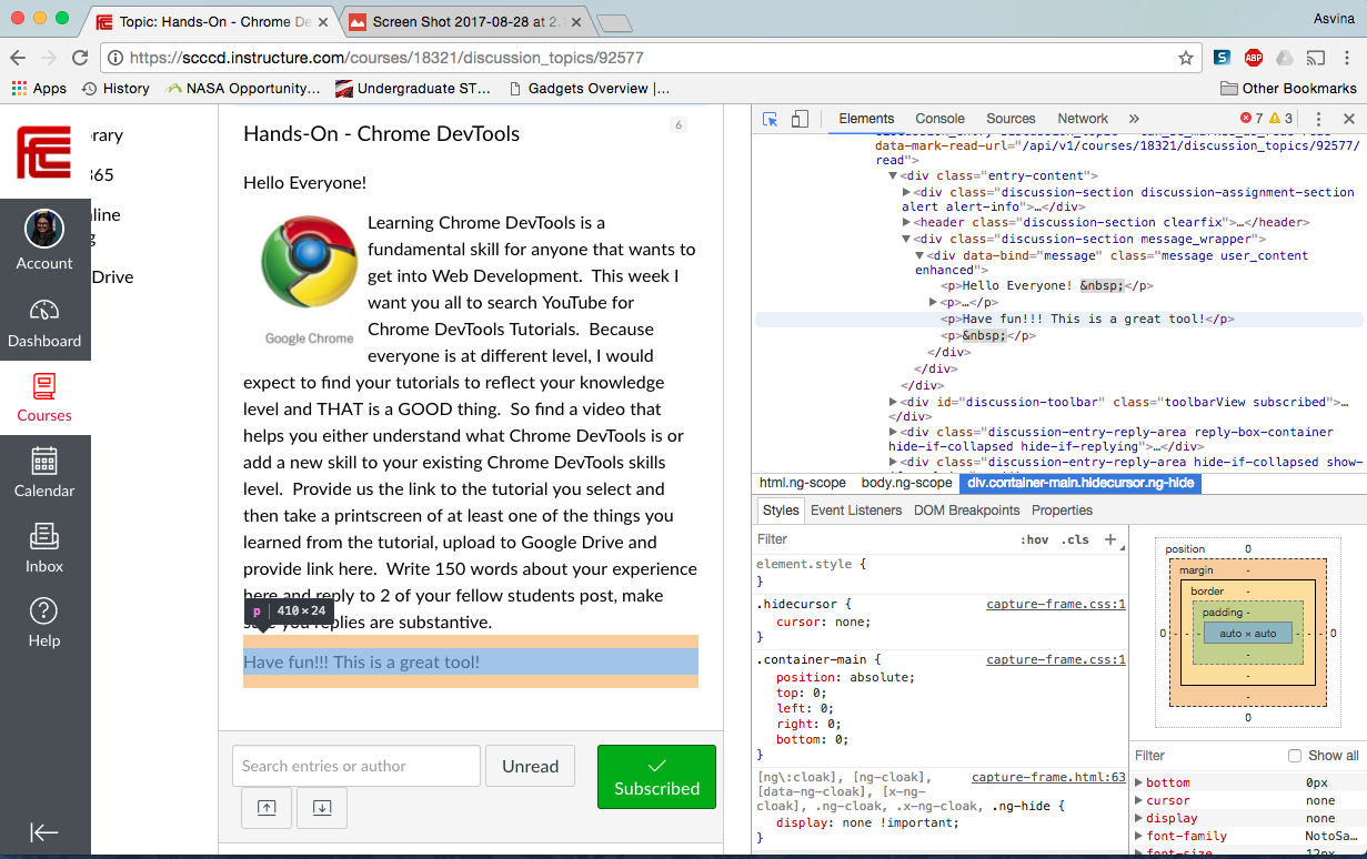 Chrome Dev Tools