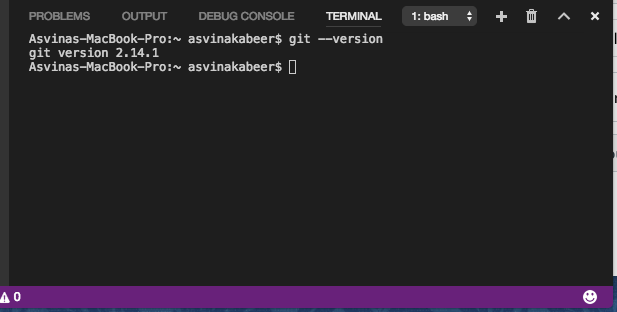 Screenshot of Git OS